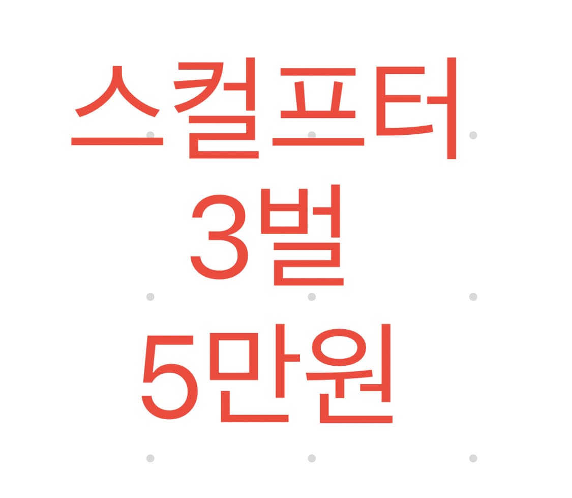 스컬프터 새상품 3벌 5만원 상품이미지1