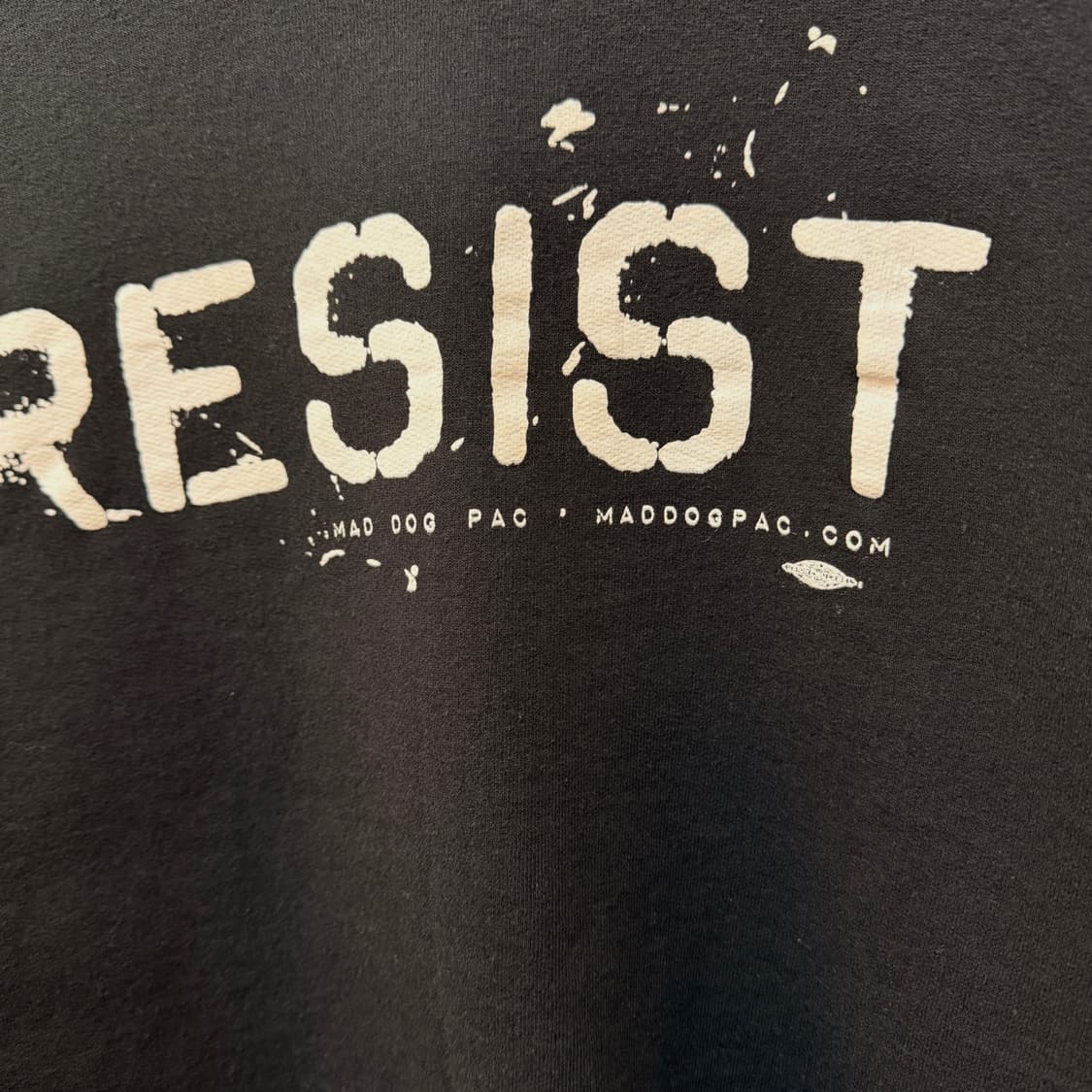 00S 헤인즈 RESIST 저항 운동 L 상품이미지3