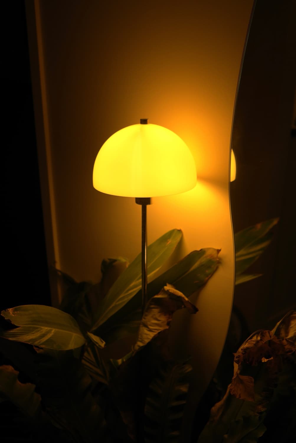 츄 디카&라이카!) Leica x Panasonic S1 카메라 상품이미지4