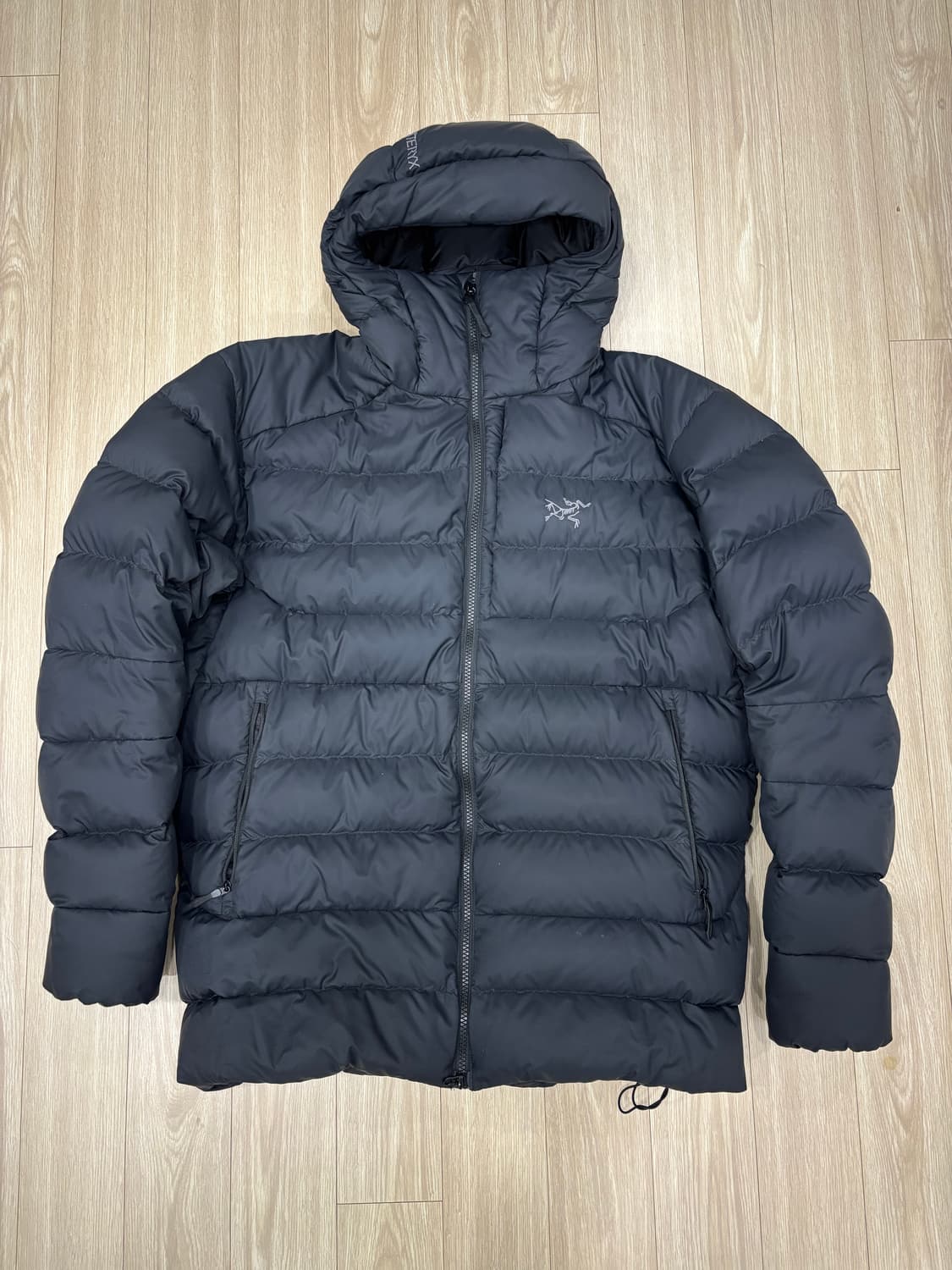 아크테릭스 토륨 후디 L 상품이미지1