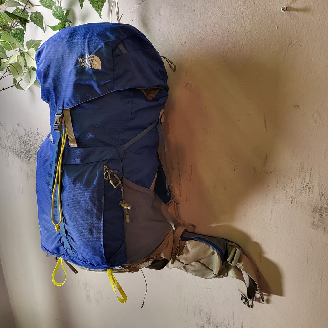 노스페이스 백팩 (BANCHEE 35) 상품이미지5