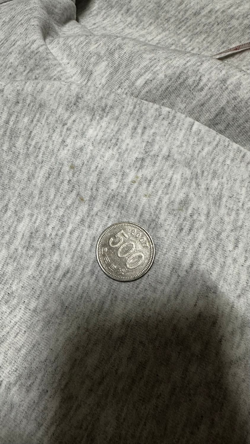 스투시 월드 투어 후드 집업 회색 상품이미지9