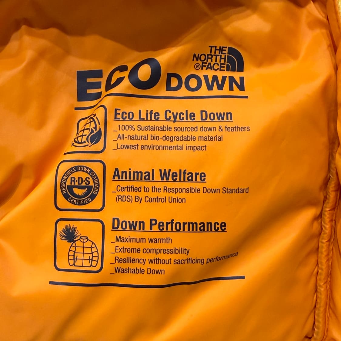 [L] 노스페이스 눕시 노벨티 패딩 상품이미지8