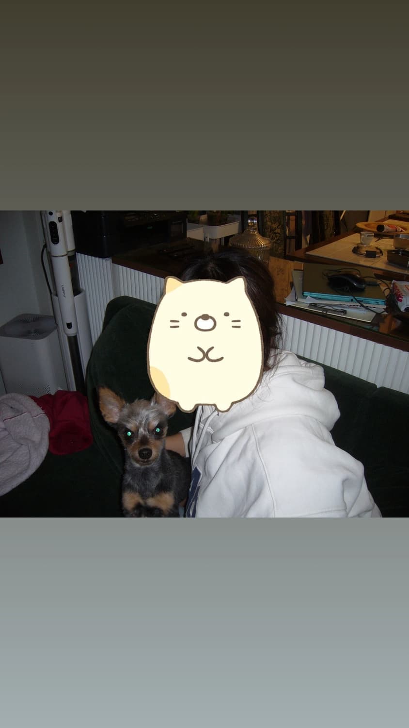 파나소닉 루믹스 lumix ls2 상품이미지6