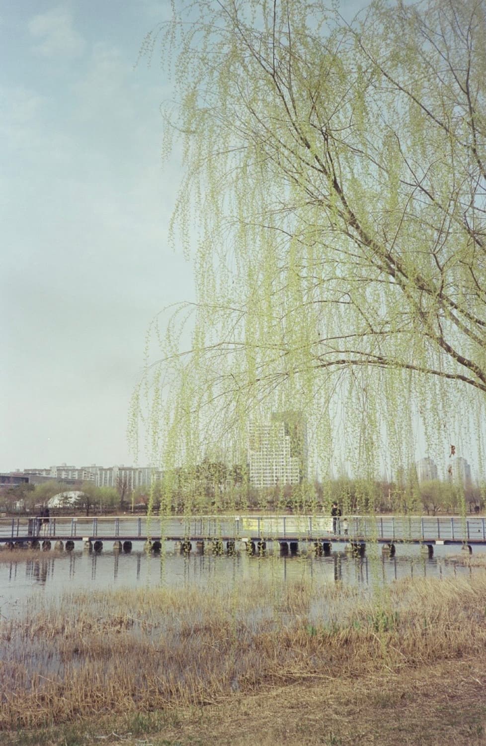 캐논 오토보이2 (Canon Autoboy 2) 필름카메라 상품이미지6