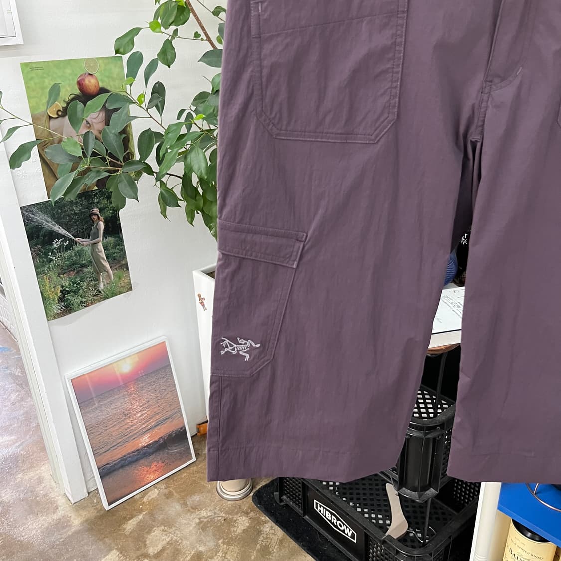 아크테릭스 우먼 쇼츠 28 상품이미지3