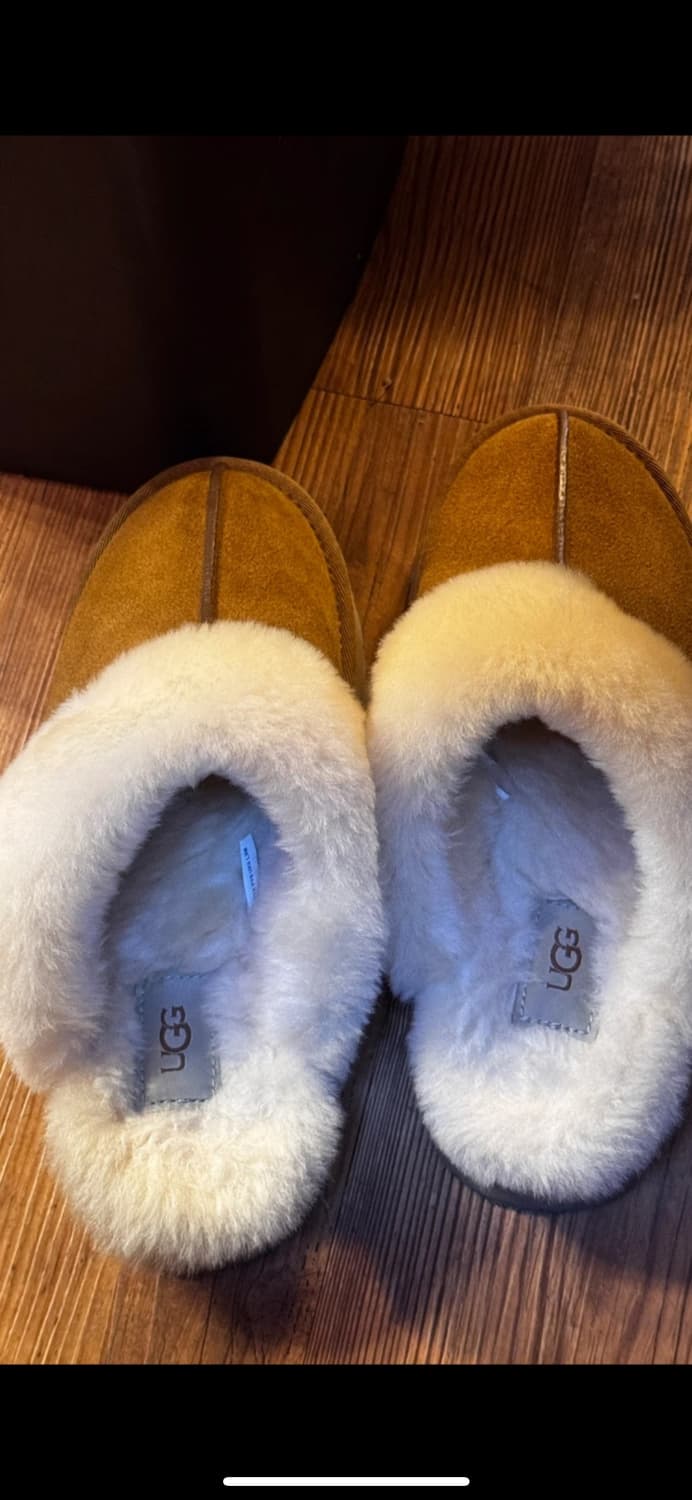 UGG 어그 디스케트 체스트넛 (245,250,255,260) 상품이미지4