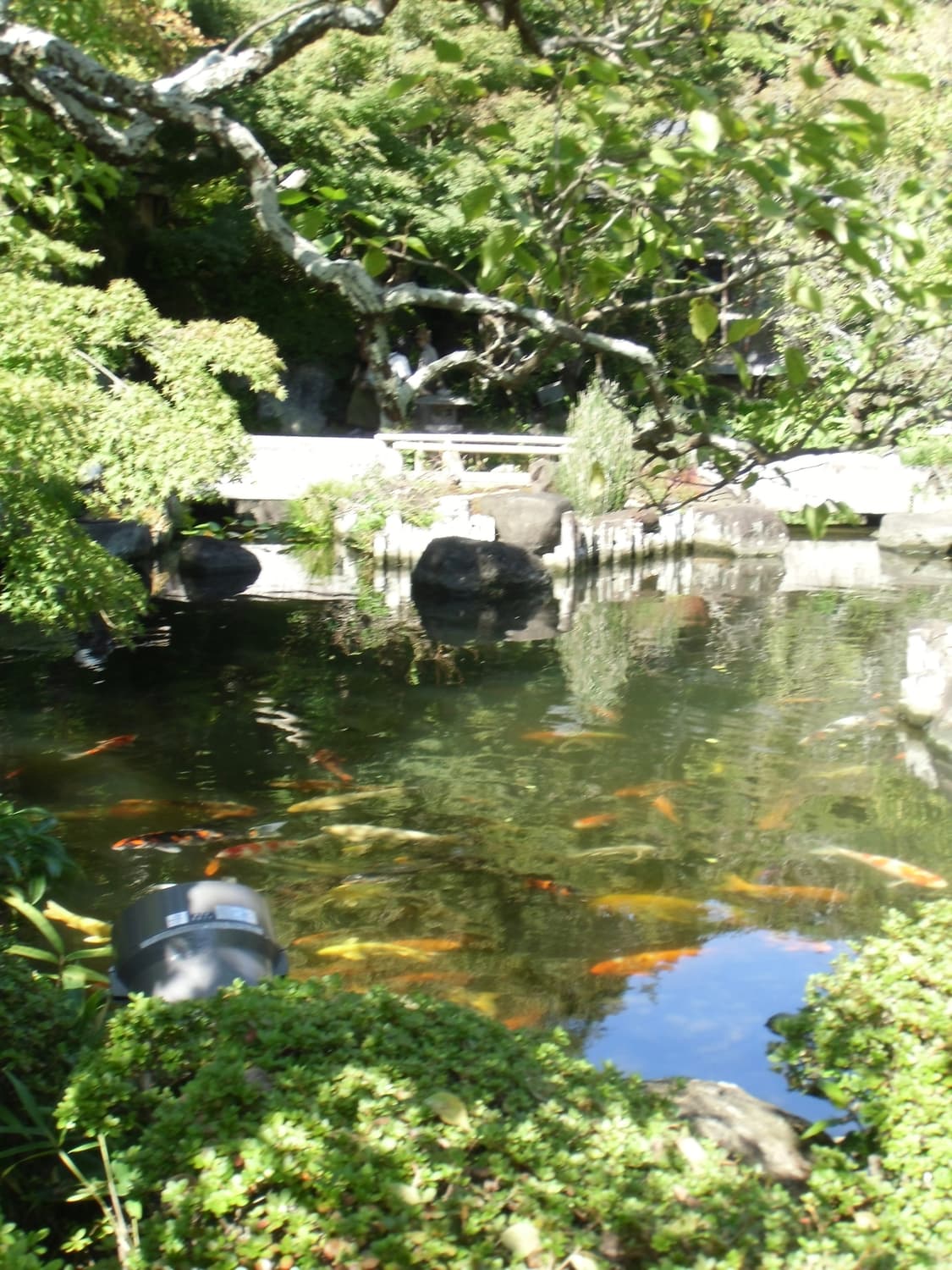 카시오 엑슬림 ex-zs100 디지털카메라 캠코더 빈티지디카 상품이미지10