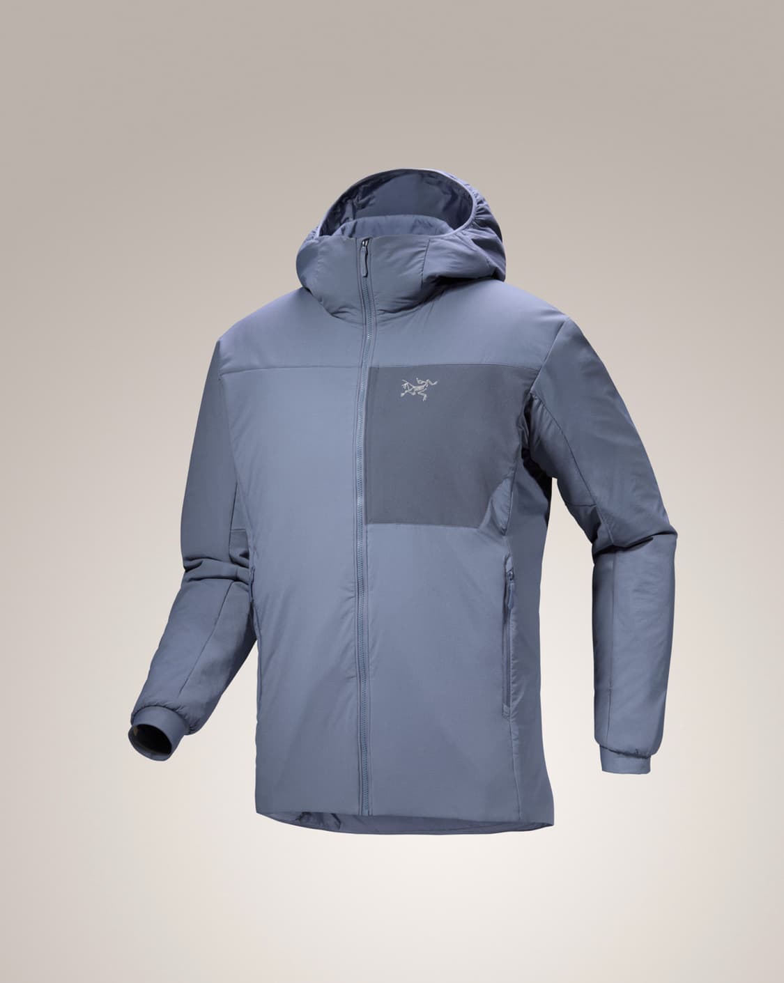 (S급) 아크테릭스 프로톤 후디 스트라터스 상품이미지1