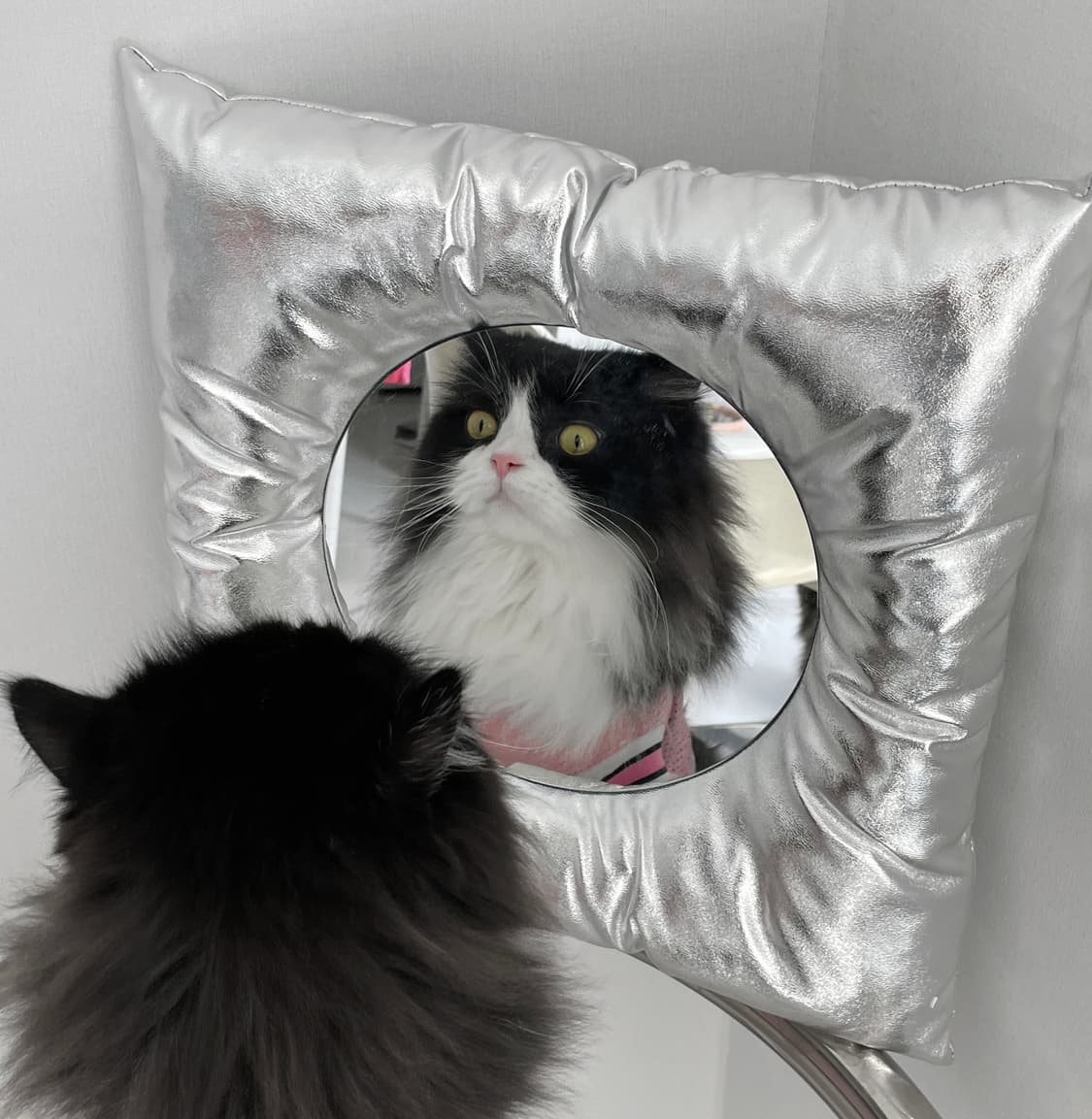 46month CUSHION MIRROR 상품이미지3