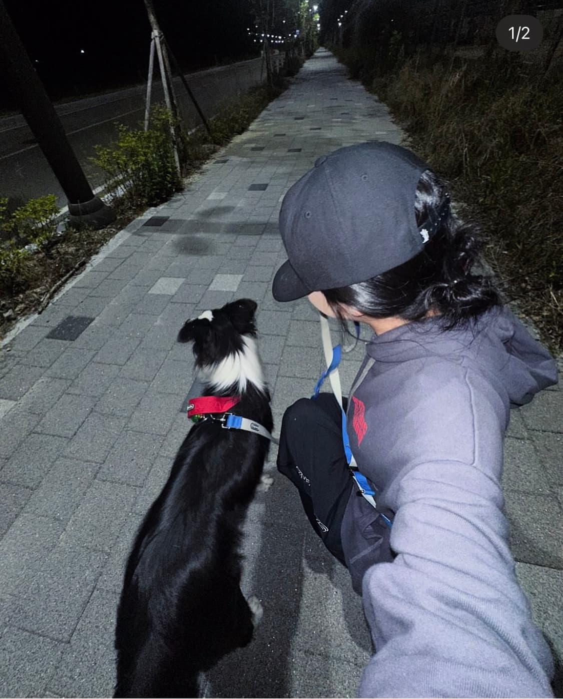 히스테릭글래머 후드집업 상품이미지3