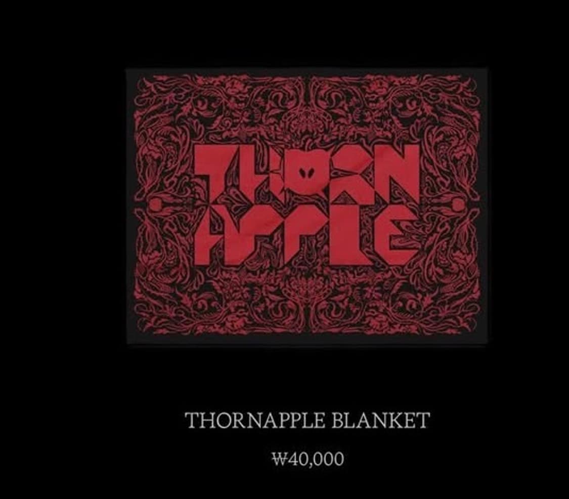 쏜애플 담요 상품이미지1