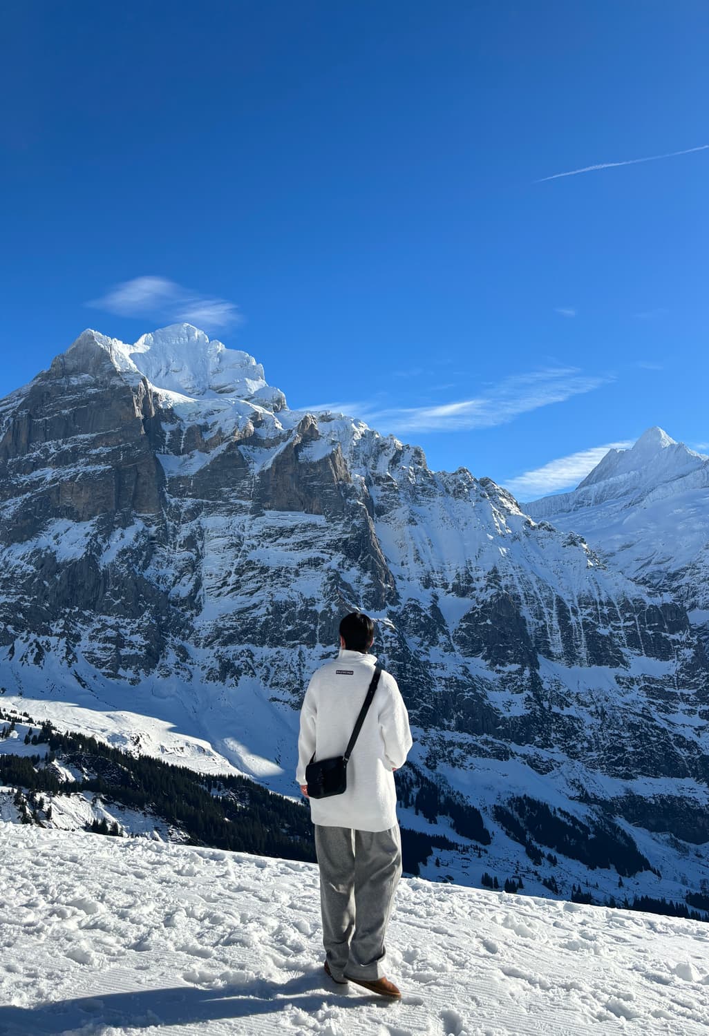 [S] 발렌시아가 스키컬렉션 하프집업니트스웻  상품이미지5