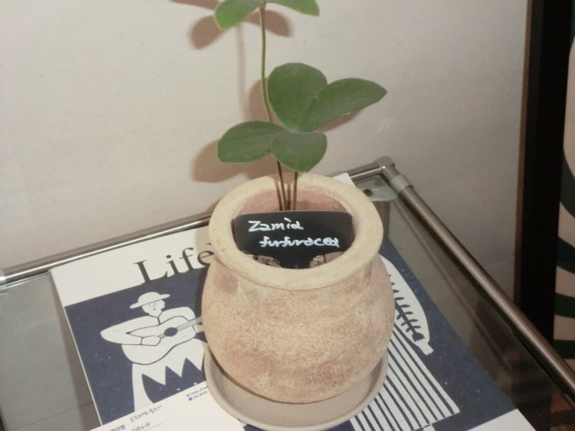 카시오 엑슬림 z2300 casio exilim 상품이미지4