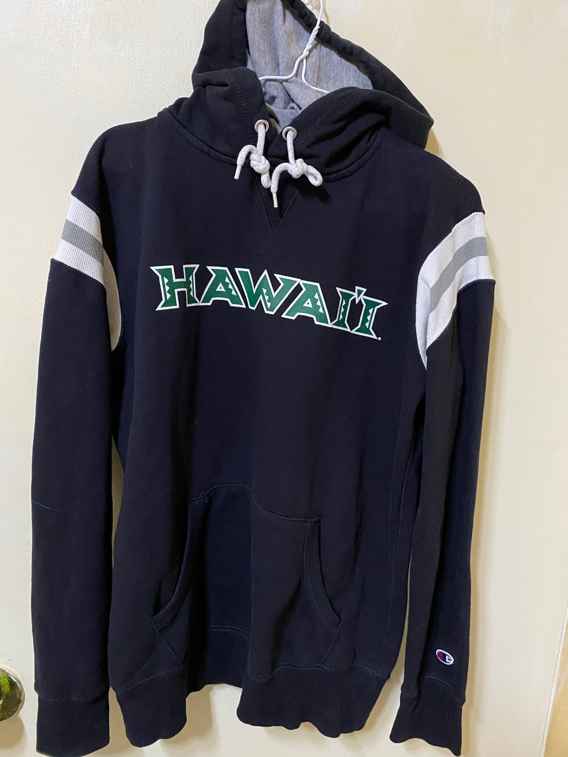 챔피언 후드티 상품이미지1