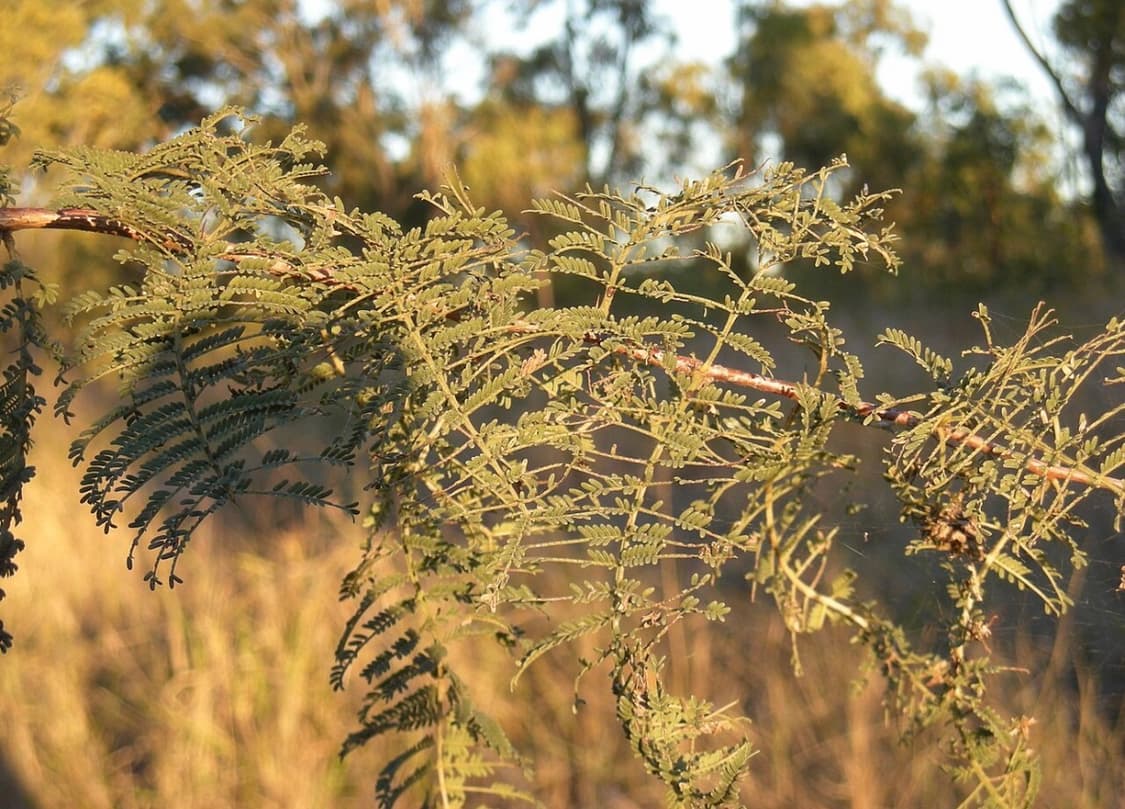 니콘 쿨픽스 S510 풀박스!!(상태좋음 작례있음) 상품이미지10