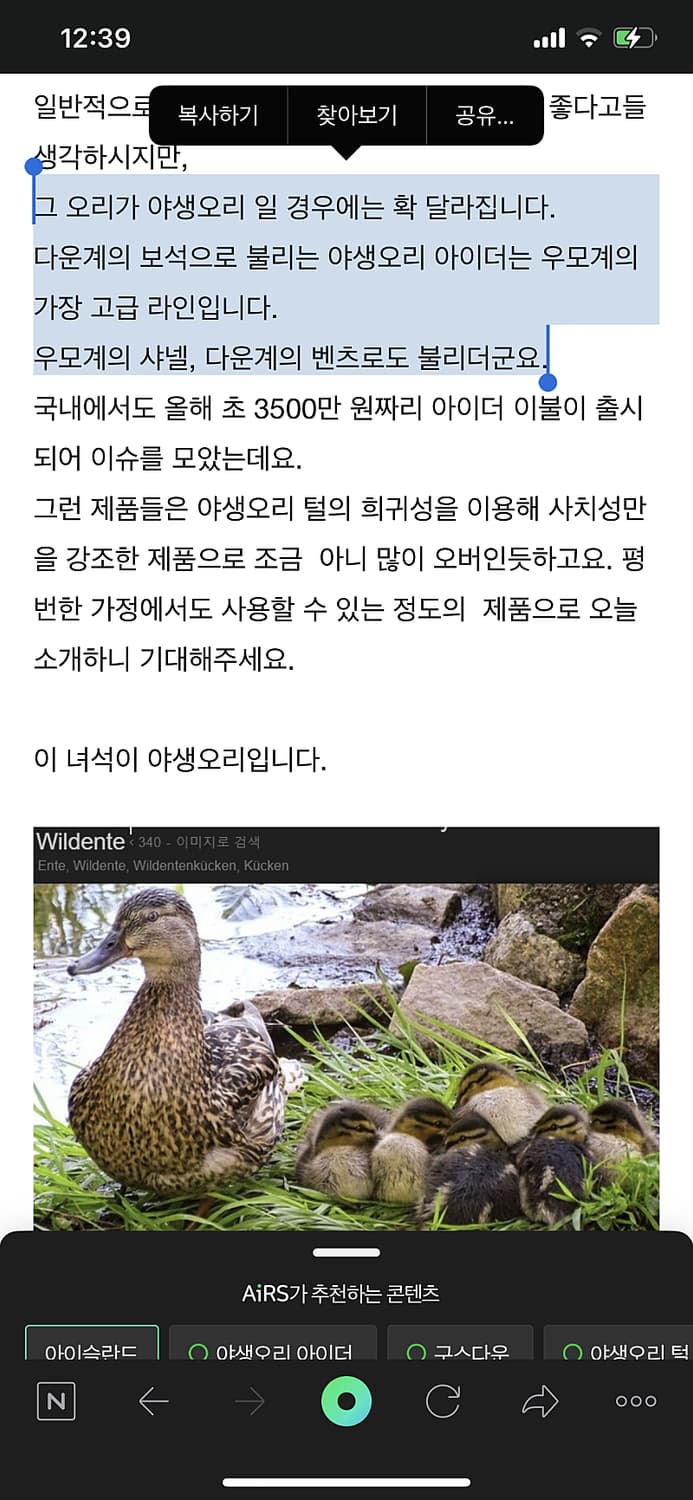 스톤아일랜드 23fw 크링클랩스 m 새상품 스카이블루 (레어) 상품이미지4