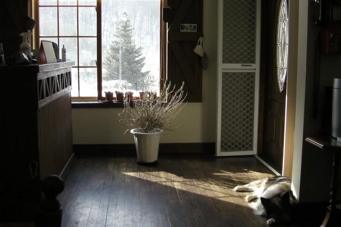 산요 작티 SANYO Xacti DMX-CA8 화이트 빈티지캠코더 상품이미지7