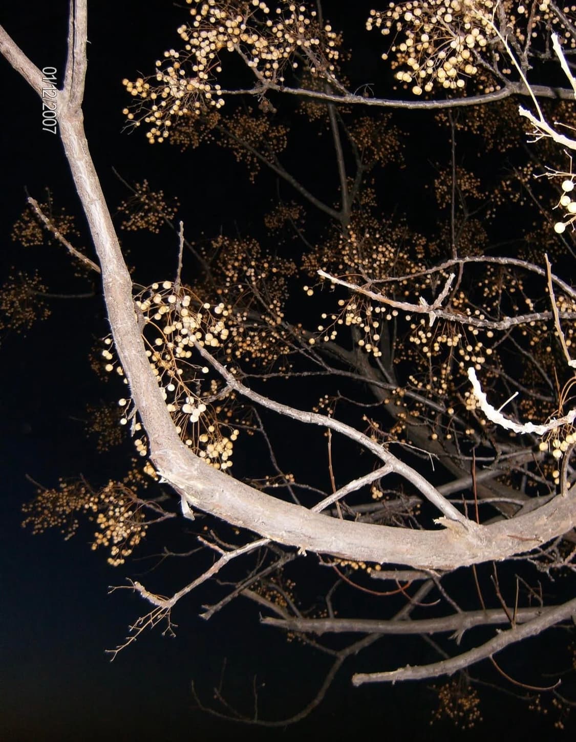 Hp 포토스마트 r725 디지털카메라 상품이미지9