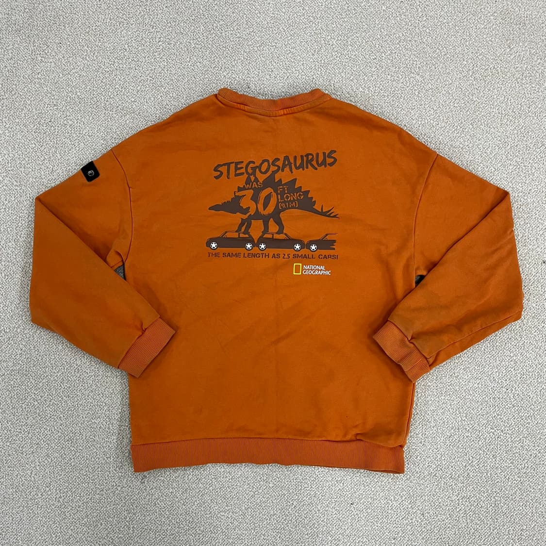 150 내셔널지오그래픽 키즈 맨투맨 0126M 상품이미지4