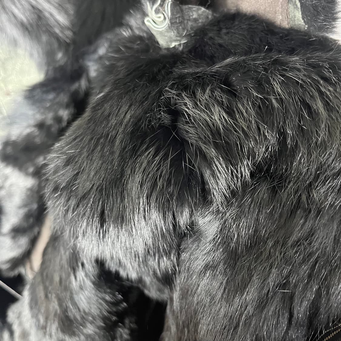 [JPN] 오리엔탈 레더 폭스퍼 코트 상품이미지6