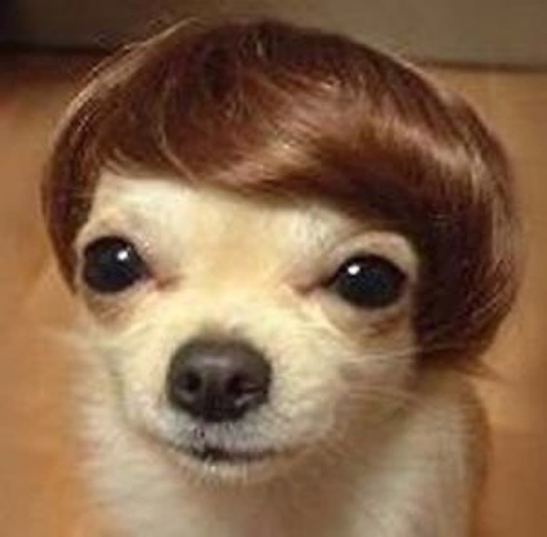 결제창 상품이미지1