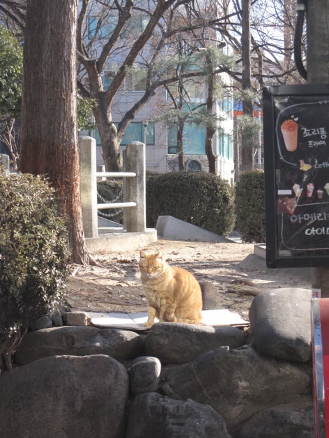 캐논 익서스 980is 상품이미지5