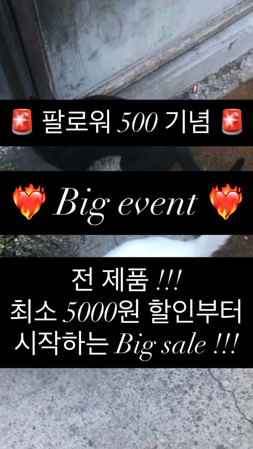 ❤️‍🔥이벤트 공지❤️‍🔥(~2/8) 상품이미지1