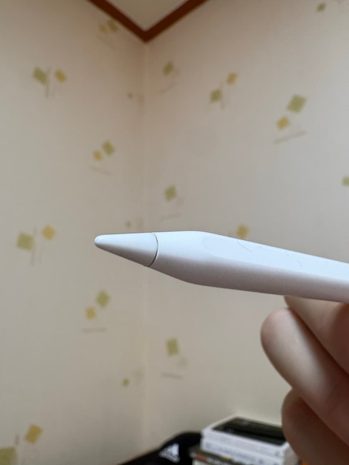 애플펜슬 프로 상품이미지3