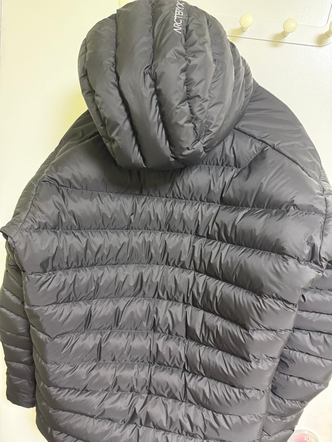 아크테릭스 세륨 후디 L 상품이미지3