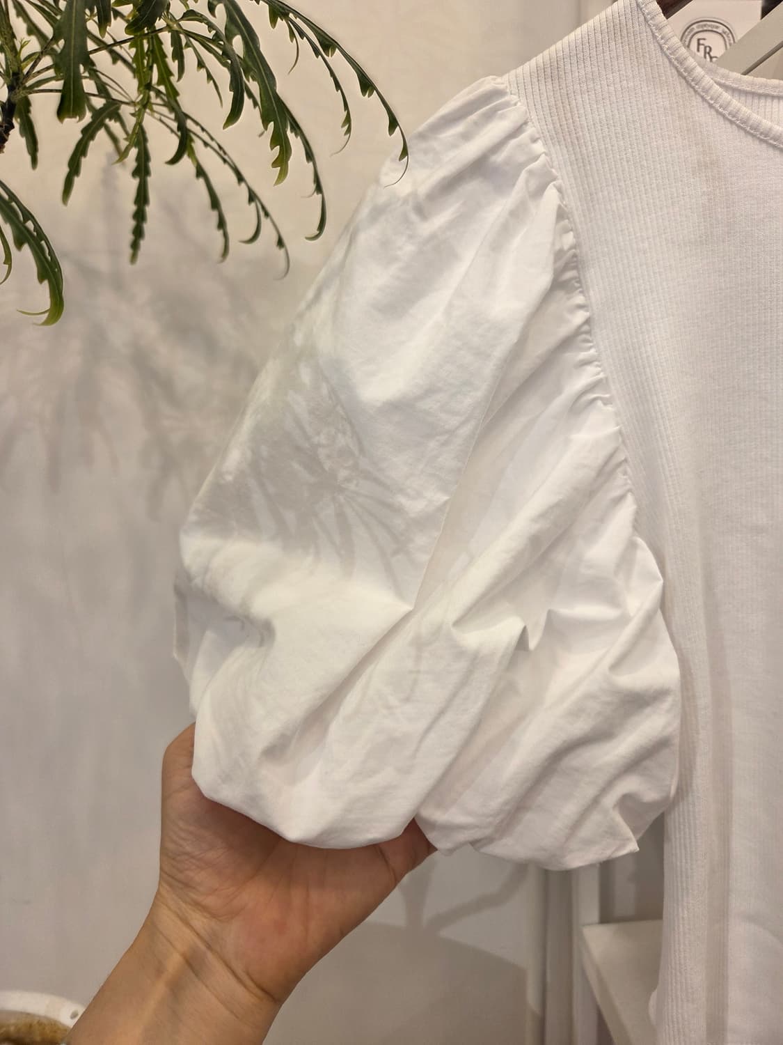 자라 백리스 크롭티 상품이미지3