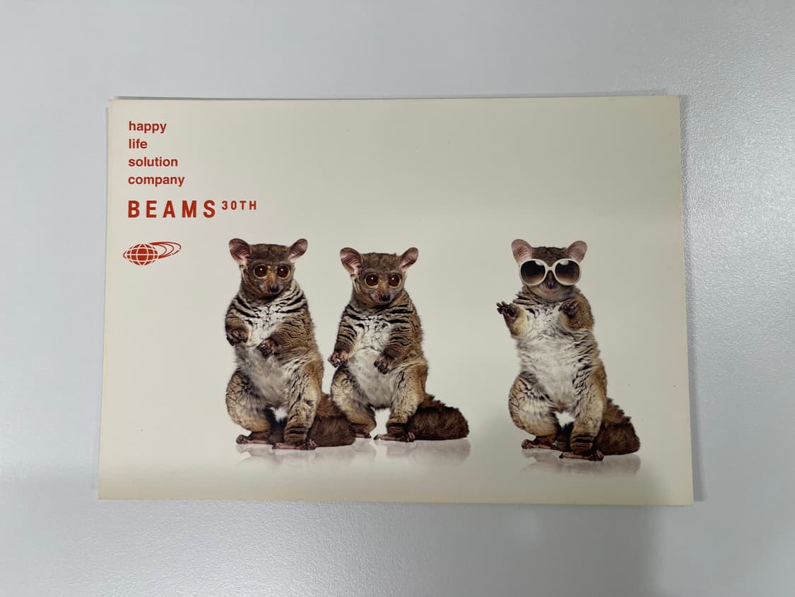 빔즈 30주년 기념 한정 아트 포토 Beams AD2006 상품이미지3