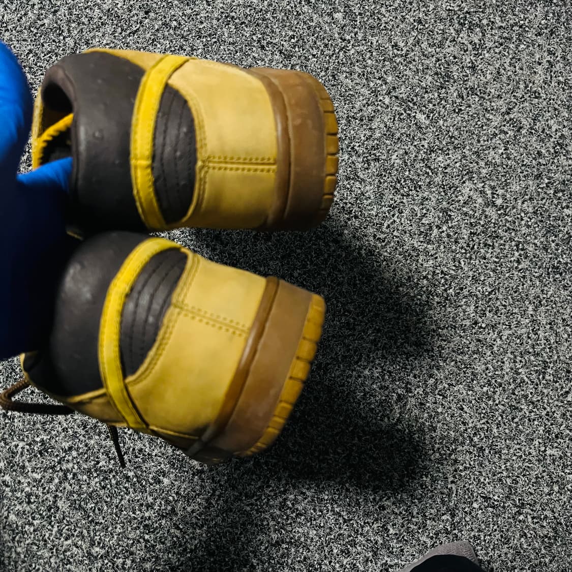 나이키 SB 덩크 로우 휠 Wheatl Goldrail 상품이미지4