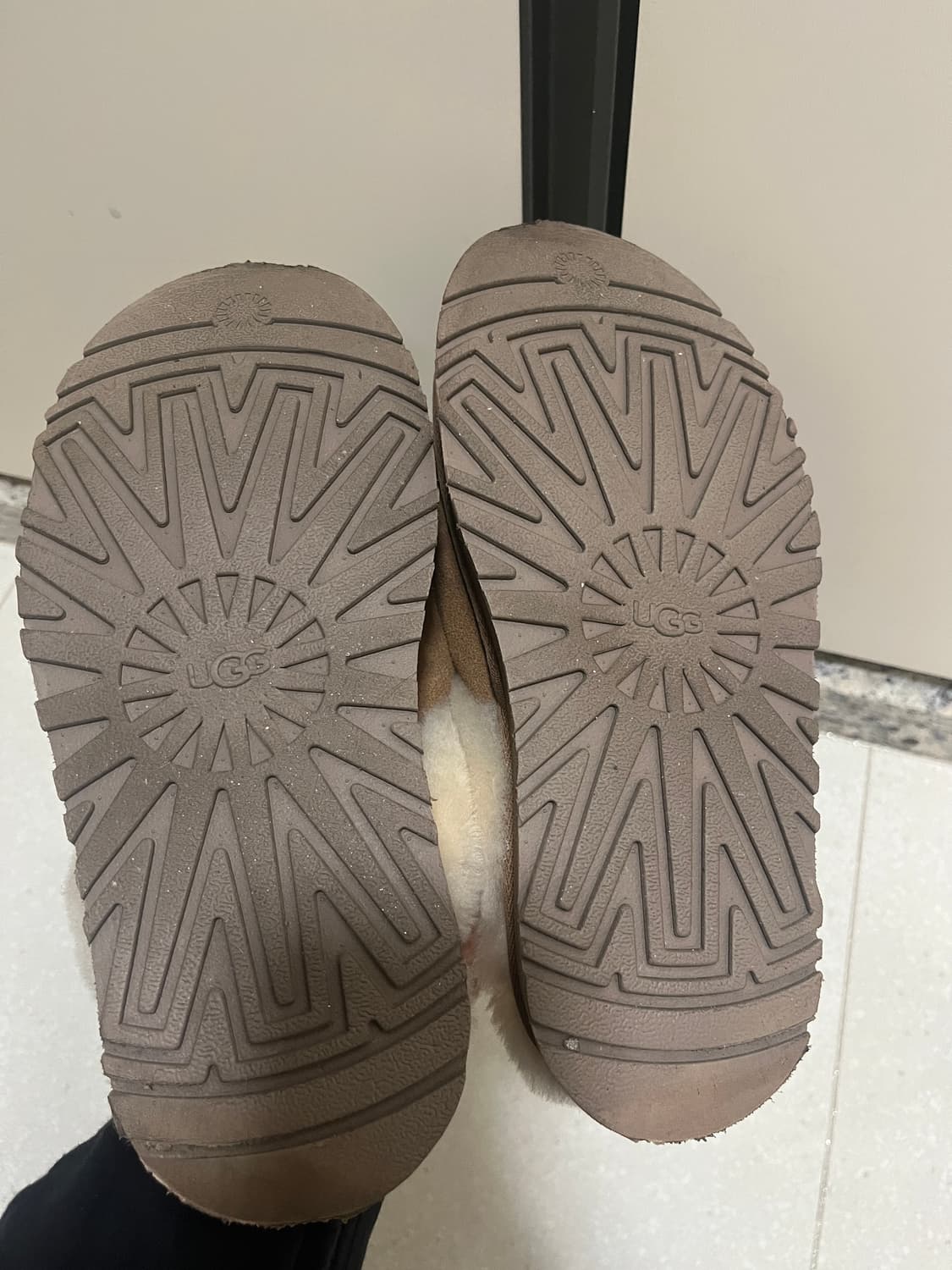 미국 어그 디스케트 체스트넛 240 상품이미지5