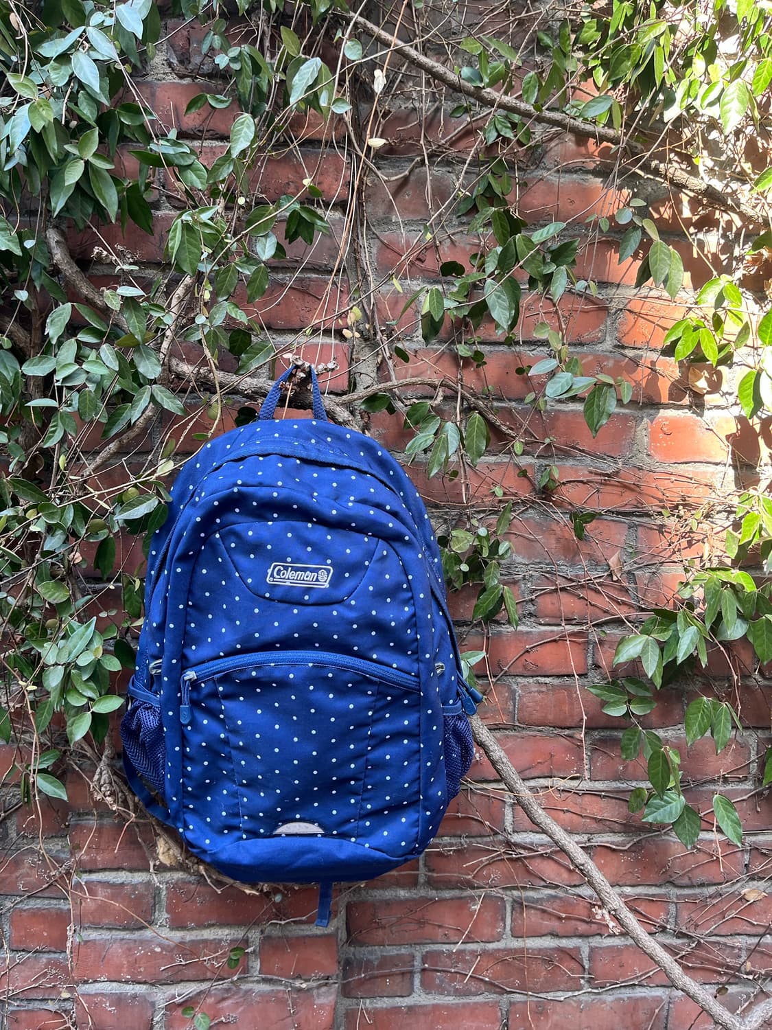 coleman 네이비 도트 백팩 상품이미지5