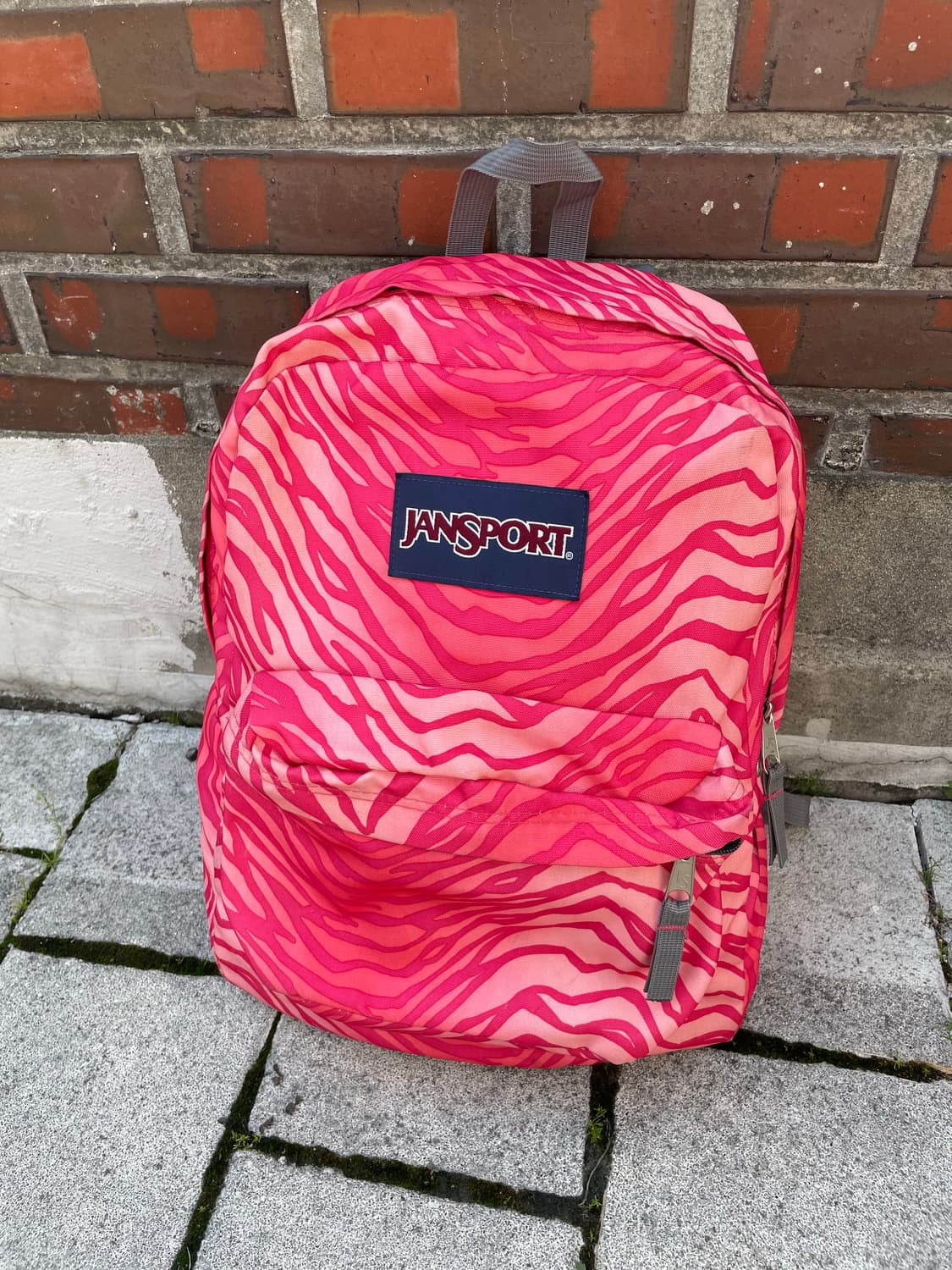 Jansport 잔스포츠 핑크 지브라 백팩 상품이미지2