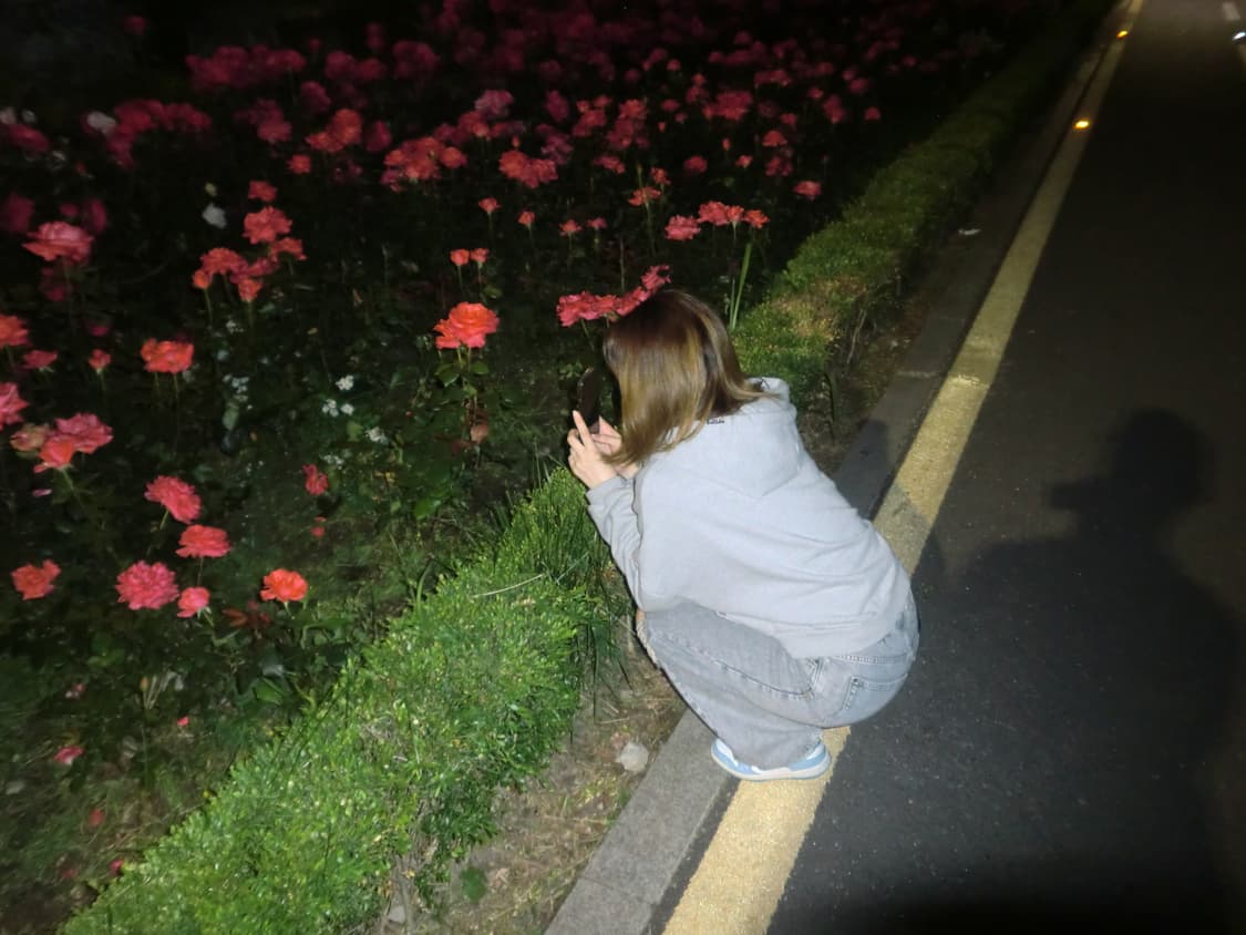 (희귀핑크,작례o) Fujiflim 후지필름 파인픽스 Z5 빈티지디카 상품이미지5