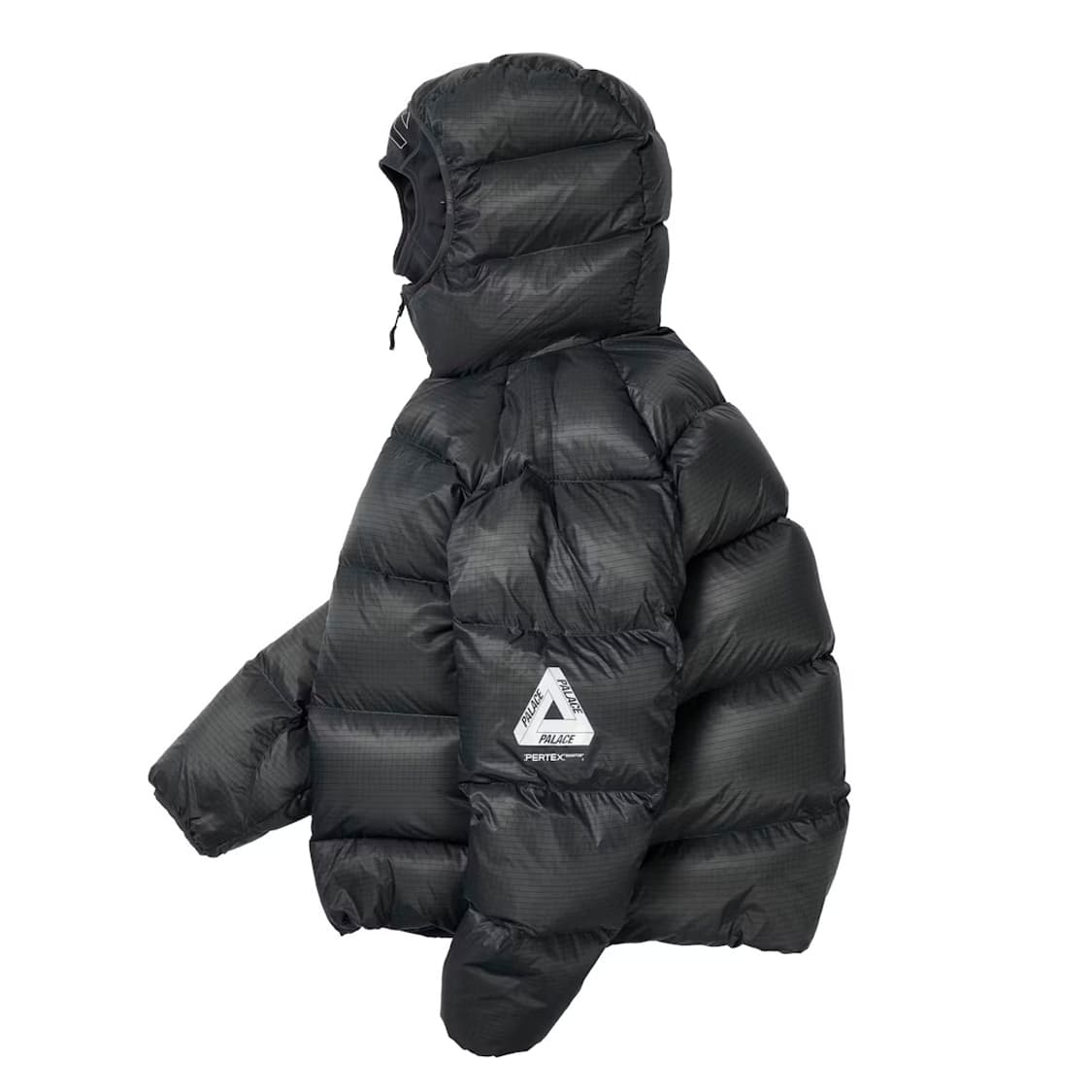 팔라스 25FW 패딩 - Large 상품이미지2