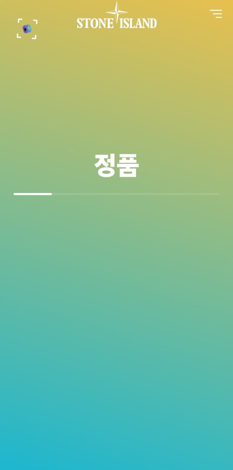 스톤아일랜드 맨투맨 L (100-105) 상품이미지6