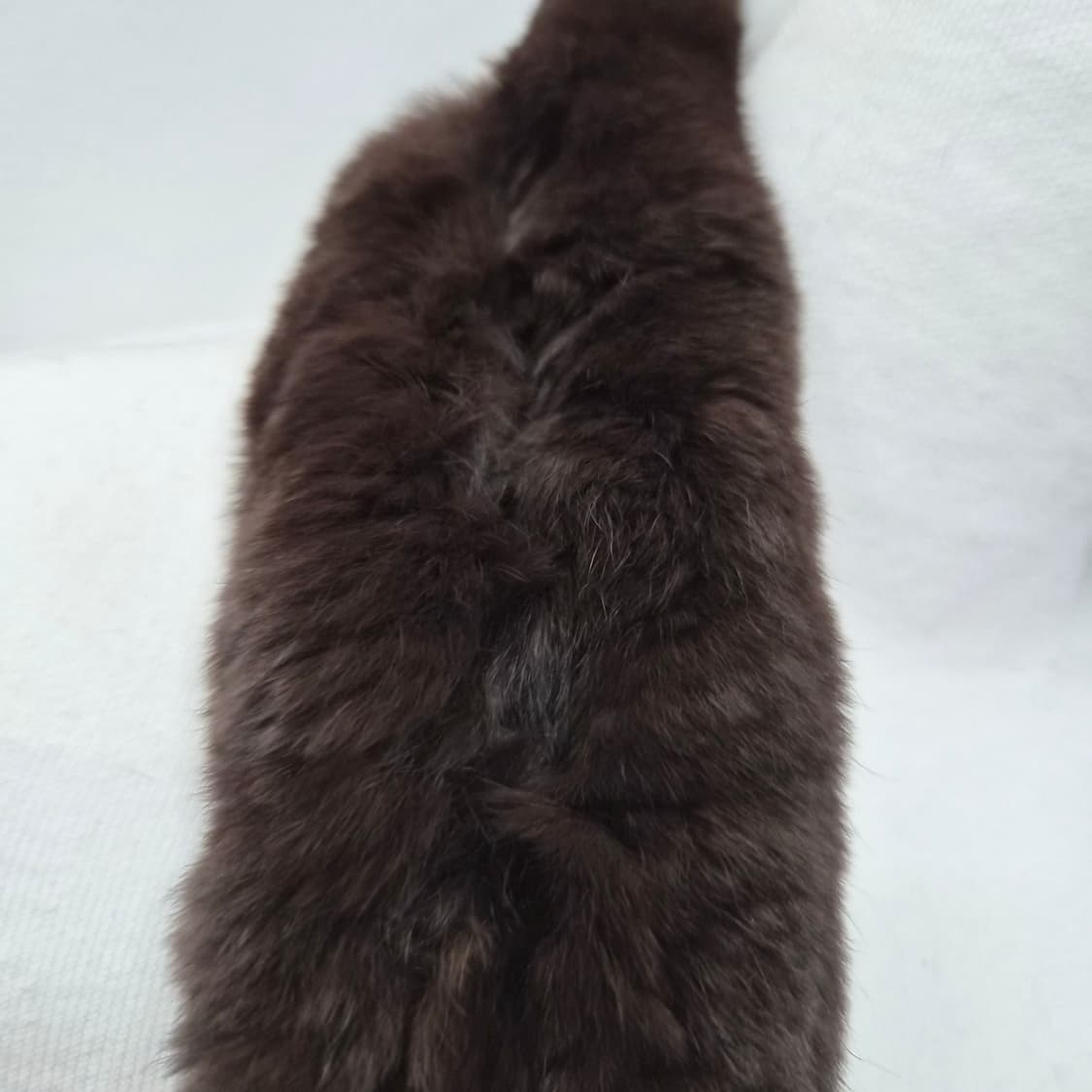 브라운 리얼 렉스 토끼털 퍼 초커 머플러 상품이미지3