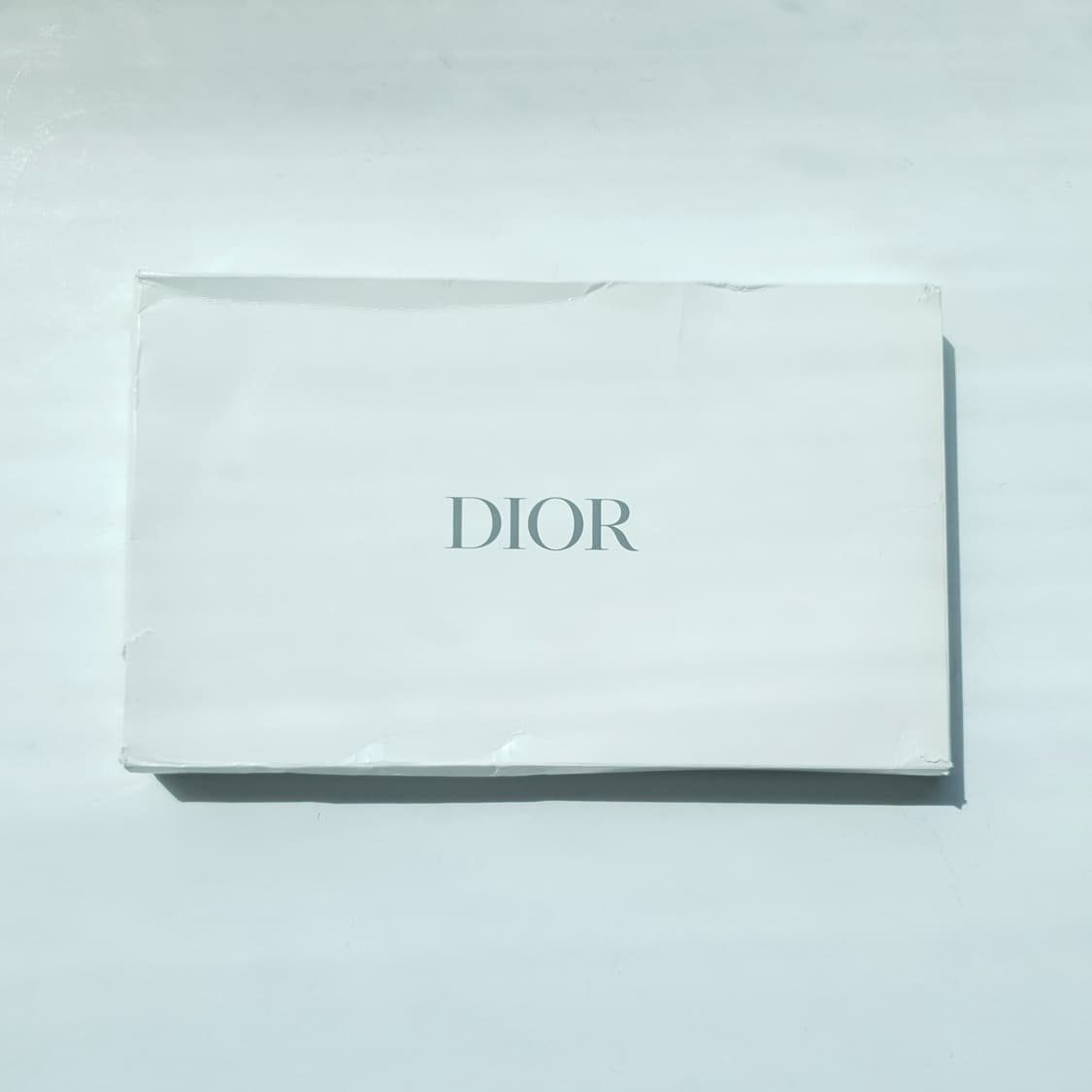 Christian Dior Pouch Bag 상품이미지10