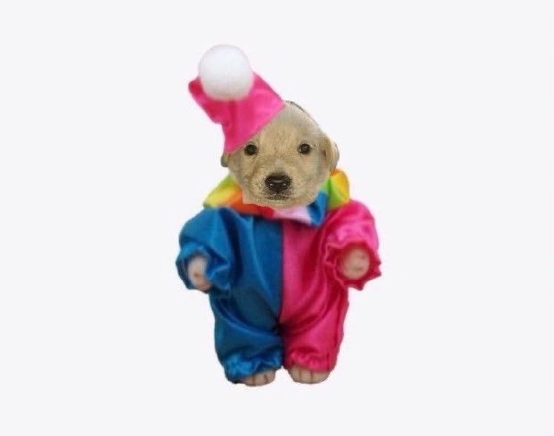 결제창 상품이미지1