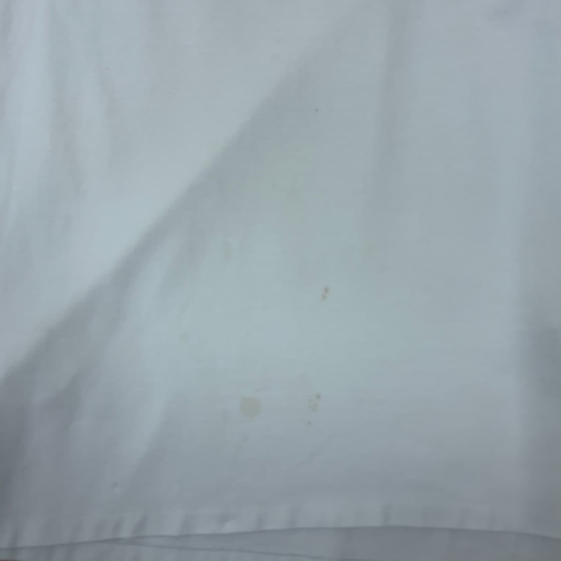 폴로 빅포니 신형 카라티 L 상품이미지9
