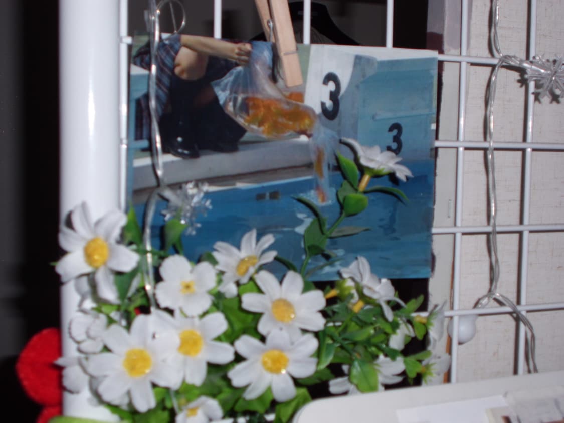 🎞 카시오 엑스슬림 EX-ZS10 / 슬림한 바디의 데일리 감성 디카 상품이미지4