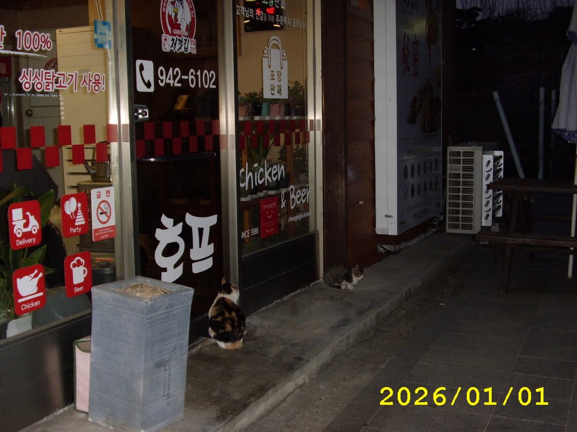 삼성 케녹스 d4 디카 상품이미지5