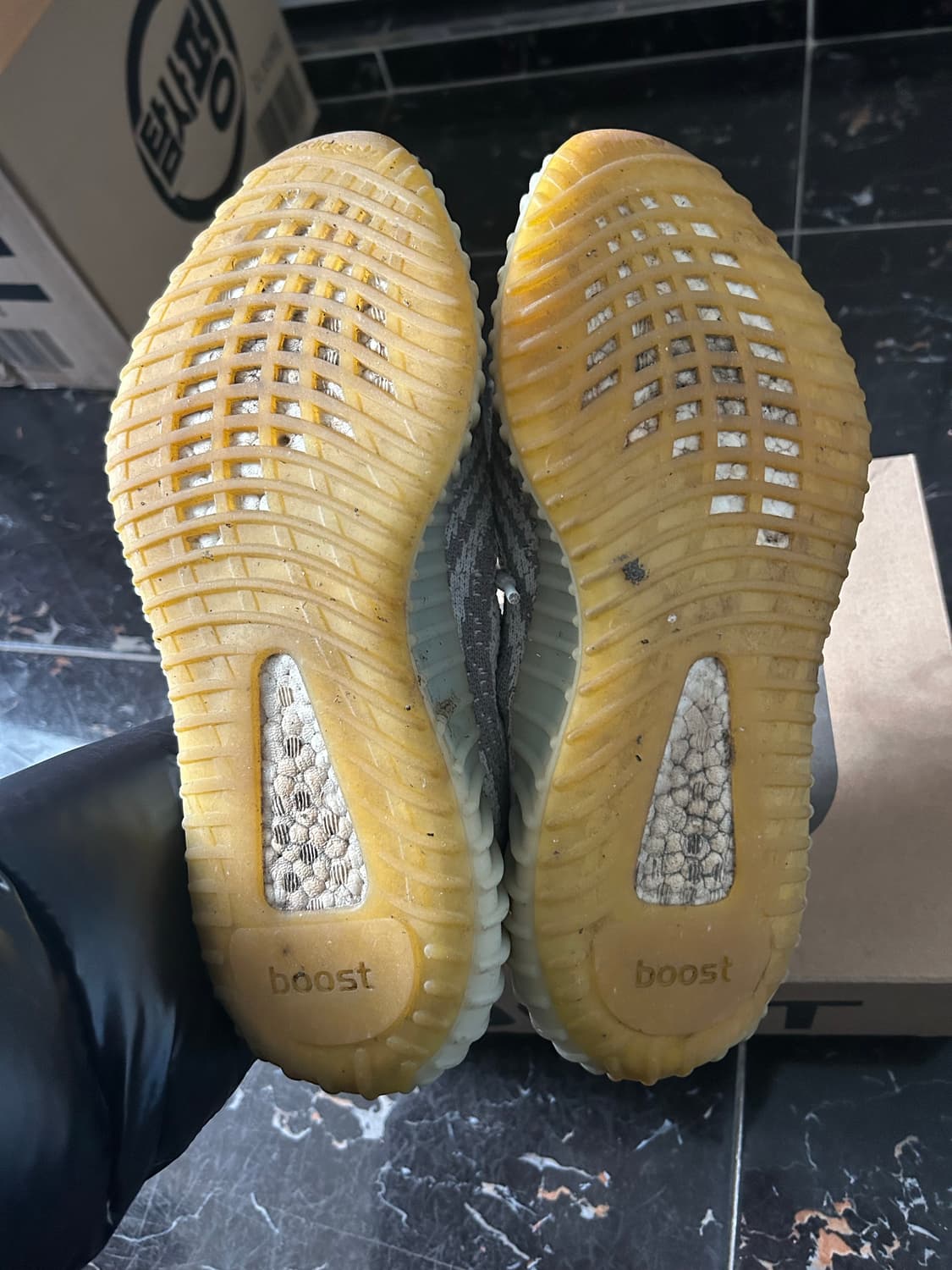 이지부스트 블루틴트 270 상품이미지3