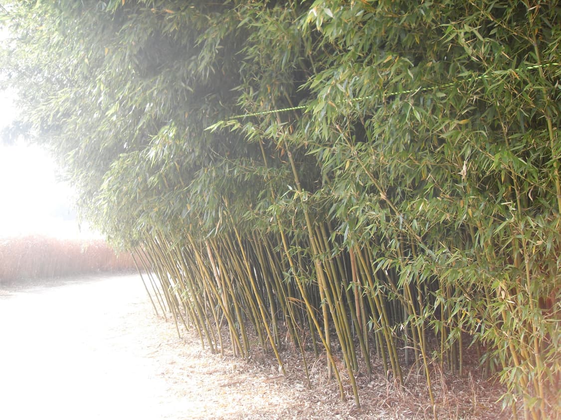 (풀구성) Samsung VLUU L200 digital camera 상품이미지5