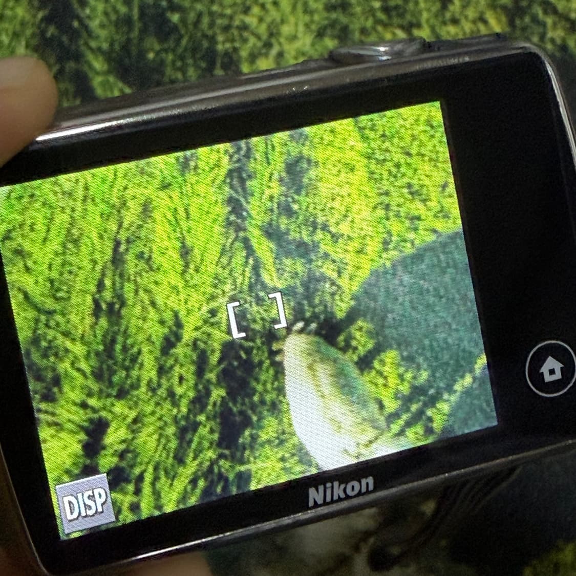 니콘 쿨픽스 S01 실버 연예인 디카 디지털 카메라 캠코더 상품이미지6