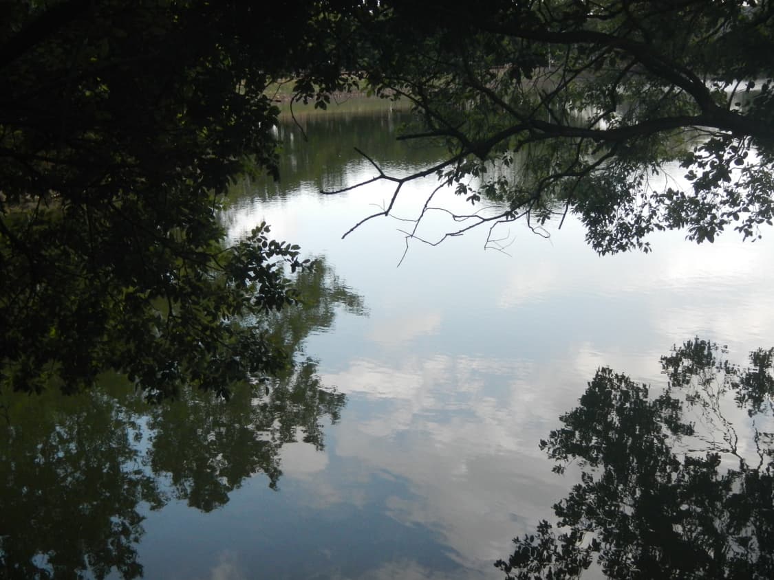 초극미품)니콘 쿨픽스 aw100 카모(풀박스) 상품이미지10