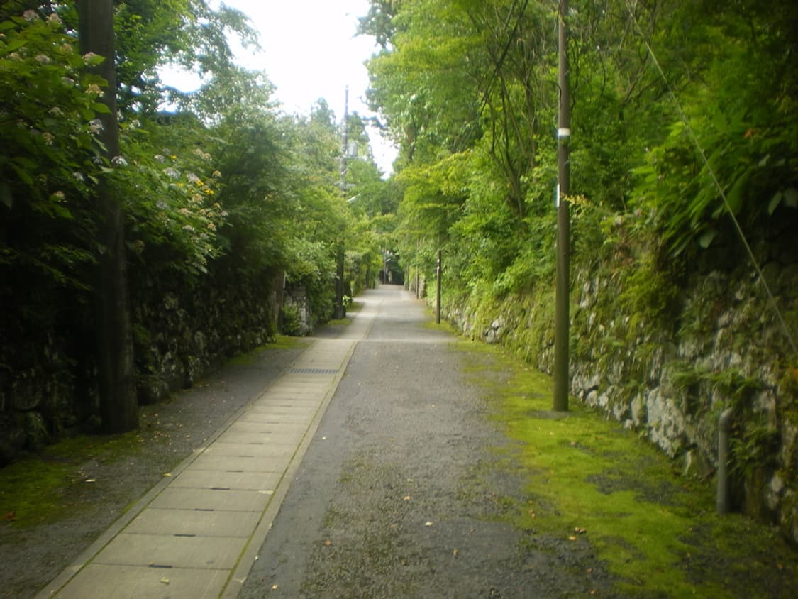 (한국어 지원) 펜탁스 옵티오 m40 빈티지 디카 디지털카메라 상품이미지8